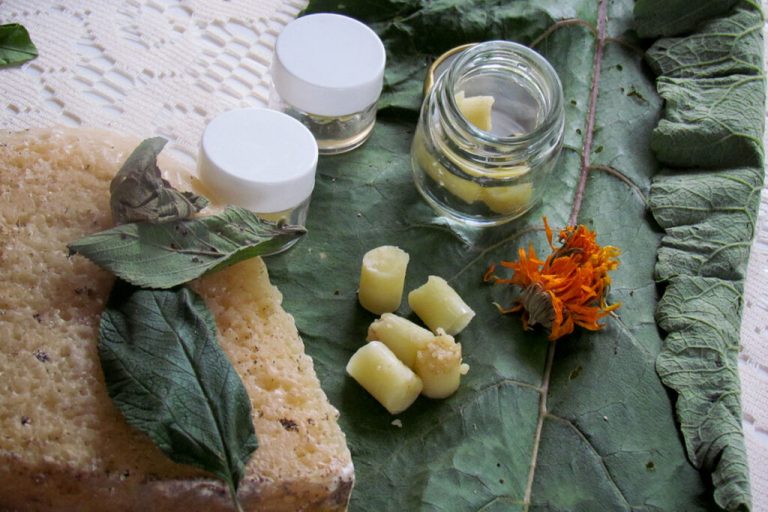 Laicrimpo: la salud en manos de las comunidades 7 Laicrimpo: la salud en manos de las comunidades