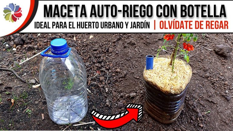 Maceta auto-riego casera reciclada 10 Maceta auto-riego casera reciclada