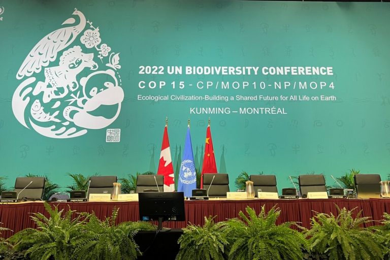 La COP15 de Biodiversidad finaliza con un acuerdo de mínimos basado en falsas soluciones 7 La COP15 de Biodiversidad finaliza con un acuerdo de mínimos basado en falsas soluciones
