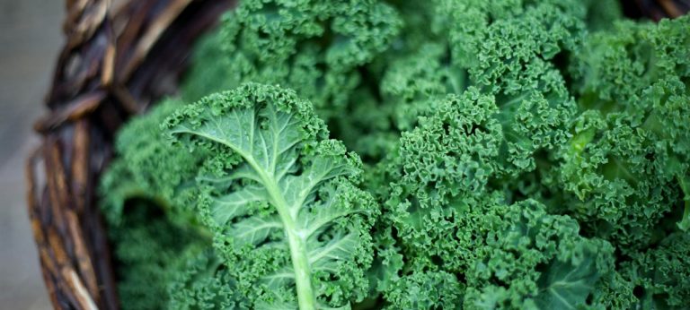 ¿Qué verduras tienen el valor nutricional general más alto?