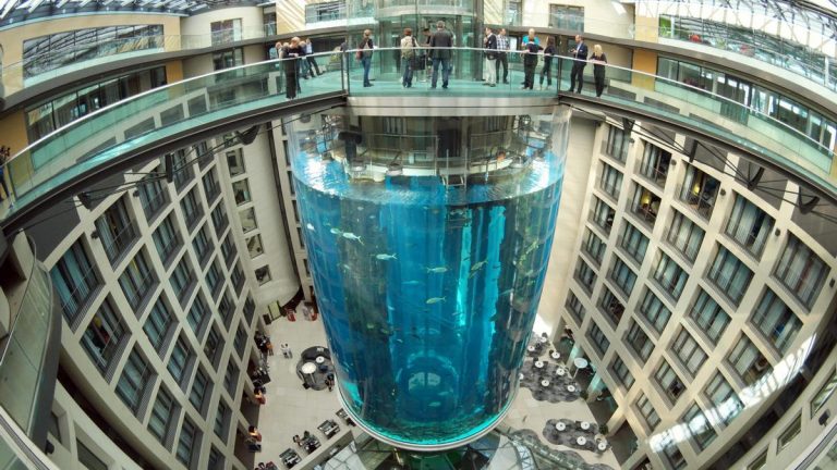 Explota el mayor acuario cilíndrico del mundo 1 Explota el mayor acuario cilíndrico del mundo