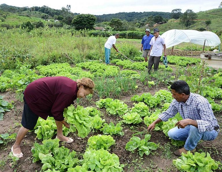 Manifiesto de Agroecología o Barbarie sobre cómo nos maltrata la agroindustria 3 Manifiesto de Agroecología o Barbarie sobre cómo nos maltrata la agroindustria