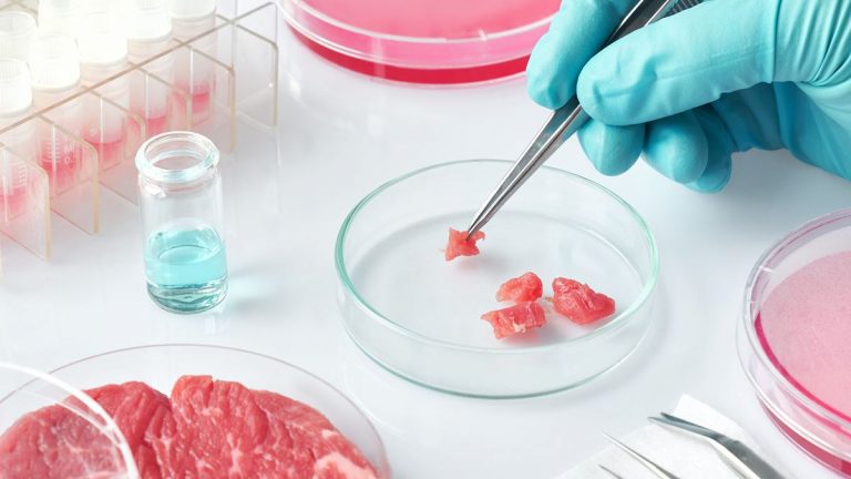 Se necesita una revolución en el sistema mundial de producción de alimentos