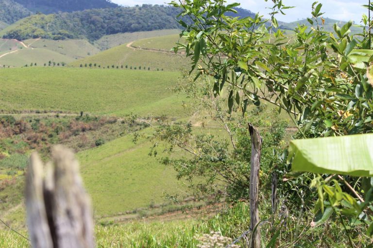 Drones que lanzan pesticidas en comunidades rurales, envenenan a residentes y dañan cultivos 6 Drones que lanzan pesticidas en comunidades rurales, envenenan a residentes y dañan cultivos