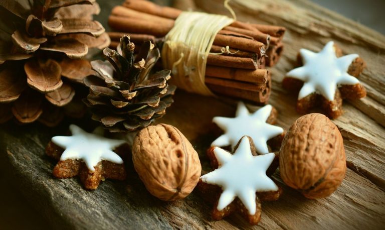 ¿Cómo preparar comidas navideñas que sean veganas y sabrosas? 5 ¿Cómo preparar comidas navideñas que sean veganas y sabrosas?