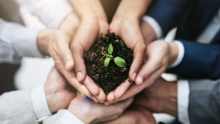 Ataúdes ecológicos: el respeto por el medio ambiente llega a los funerales 9 Ataúdes ecológicos: el respeto por el medio ambiente llega a los funerales
