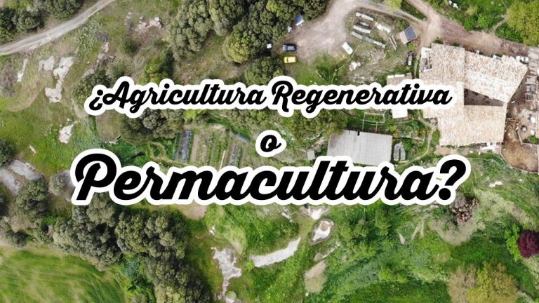 Agricultura regenerativa y Permacultura, bases para diferenciarlas 10 Agricultura regenerativa y Permacultura, bases para diferenciarlas