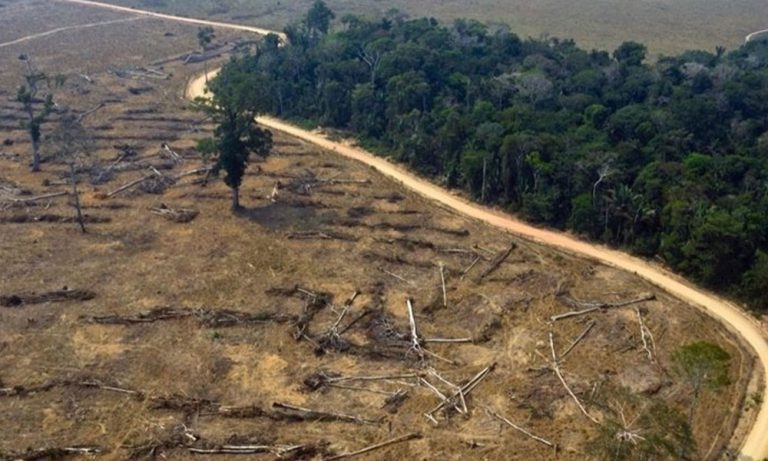 La actividad humana ha degradado más de un tercio de los bosques del Amazonas 5 La actividad humana ha degradado más de un tercio de los bosques del Amazonas
