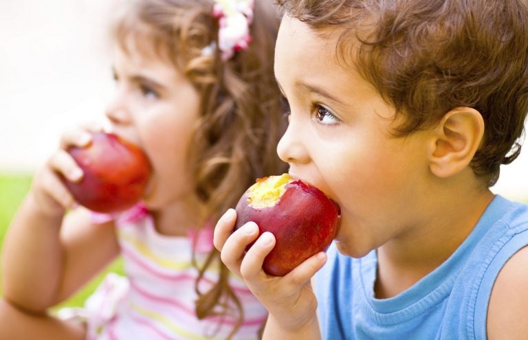 La alimentación como servicio público 3 La alimentación como servicio público
