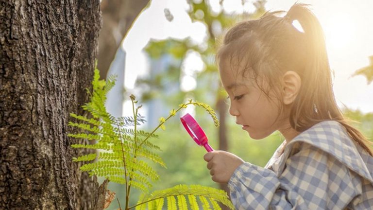 "Trastorno por déficit de naturaleza": ‘receten’ aire libre a los niños 4 «Trastorno por déficit de naturaleza»: ‘receten’ aire libre a los niños