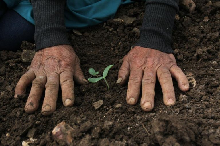 La tierra en Argentina para quién y para qué, el debate pendiente 3 La tierra en Argentina para quién y para qué, el debate pendiente
