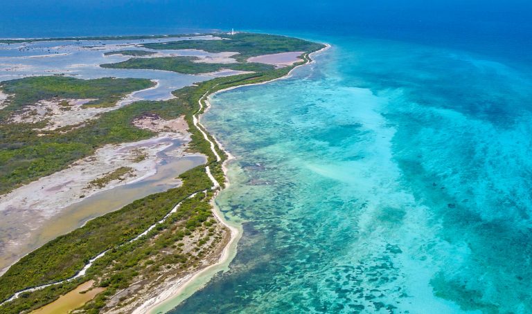 España pedirá retrasar la minería submarina desde el Consejo de ISA 7 España pedirá retrasar la minería submarina desde el Consejo de ISA