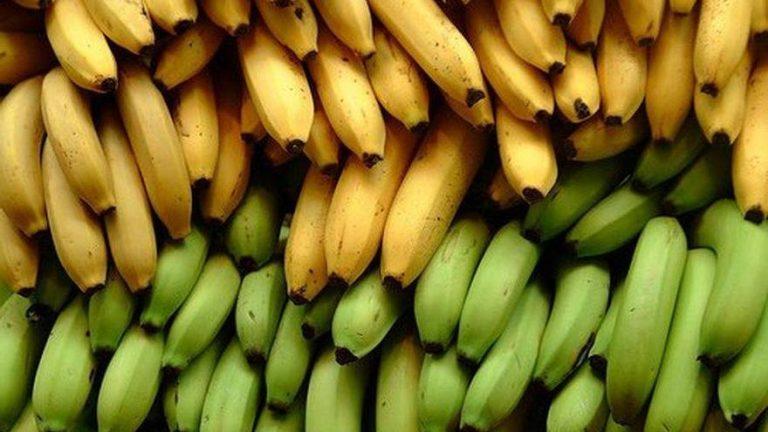 ¿Por qué deberíamos comer plátanos todos los días?