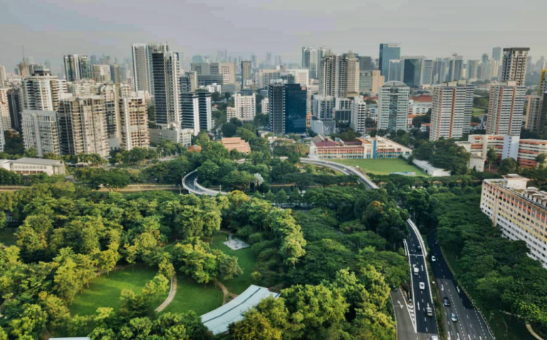 Plantar más árboles en la ciudad puede reducir en un tercio las muertes por calor 5 Plantar más árboles en la ciudad puede reducir en un tercio las muertes por calor