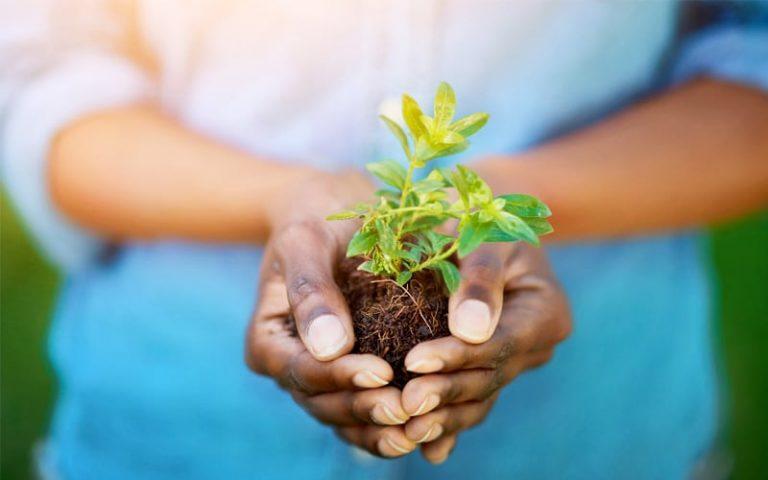 Cómo podemos aprender a cuidar el planeta 9 Cómo podemos aprender a cuidar el planeta