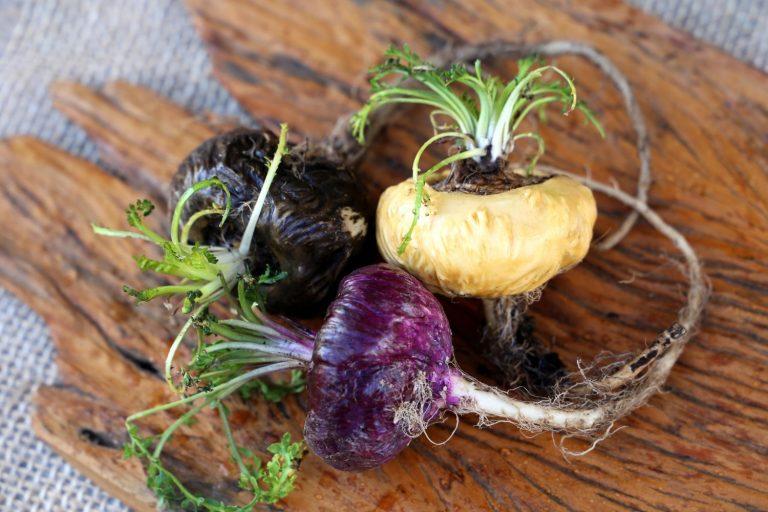 Los mejores alimentos para combatir la fatiga 7 Los mejores alimentos para combatir la fatiga