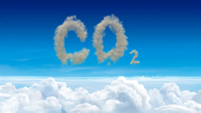 ¿Son los métodos de eliminación de carbono la clave para hacer frente al cambio climático? 5 ¿Son los métodos de eliminación de carbono la clave para hacer frente al cambio climático?