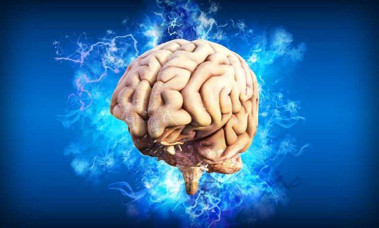 El cerebro envía señales cuando algo puede estar mal 4 El cerebro envía señales cuando algo puede estar mal