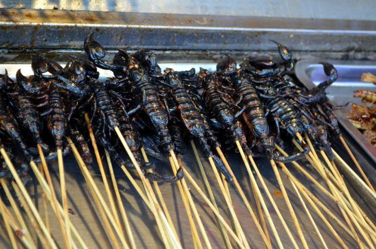 Consumo de insectos, ¿la dieta del futuro? 1 Consumo de insectos, ¿la dieta del futuro?