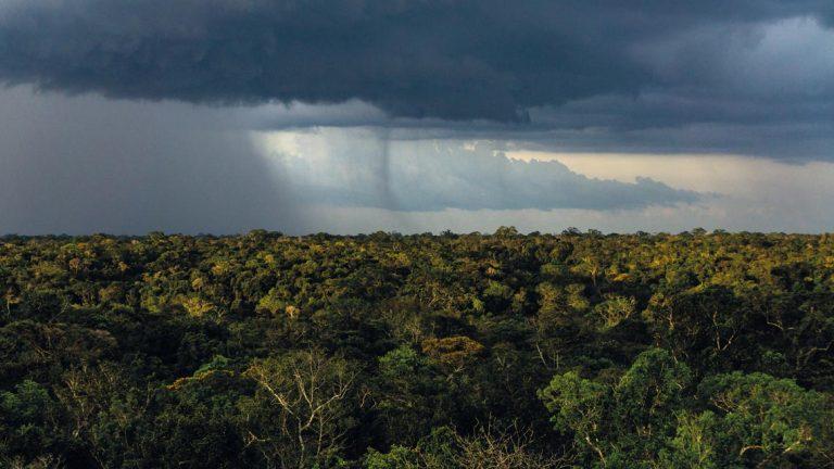 Los científicos demuestran un vínculo claro entre la deforestación y las precipitaciones locales 6 Los científicos demuestran un vínculo claro entre la deforestación y las precipitaciones locales