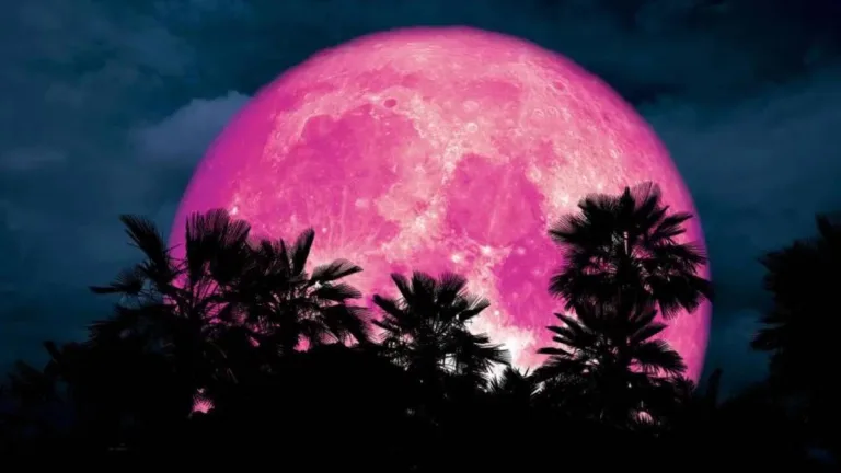 Luna rosa de abril 2023: ¿cuándo es y qué significa? 2 Luna rosa de abril 2023: ¿cuándo es y qué significa?