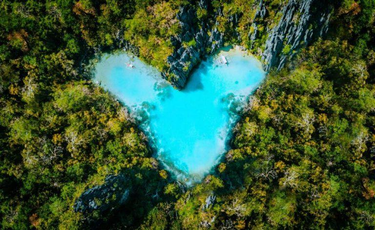 Velar por la naturaleza