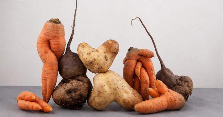 Cómo las frutas y verduras 'feas' podrían resolver el desperdicio de alimentos 3 Cómo las frutas y verduras ‘feas’ podrían resolver el desperdicio de alimentos