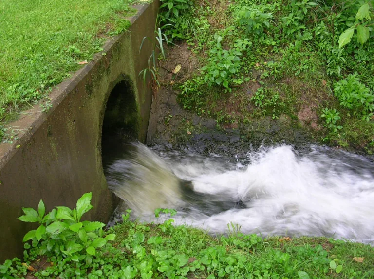 Las aguas del Reino Unido están demasiado contaminadas para nadar 2 Las aguas del Reino Unido están demasiado contaminadas para nadar