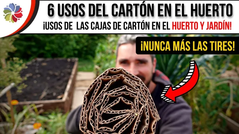 No tires las cajas de cartón: 6 usos en la huerta o jardín 6 No tires las cajas de cartón: 6 usos en la huerta o jardín