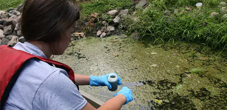 Microbio volcánico come CO2 «asombrosamente rápido»