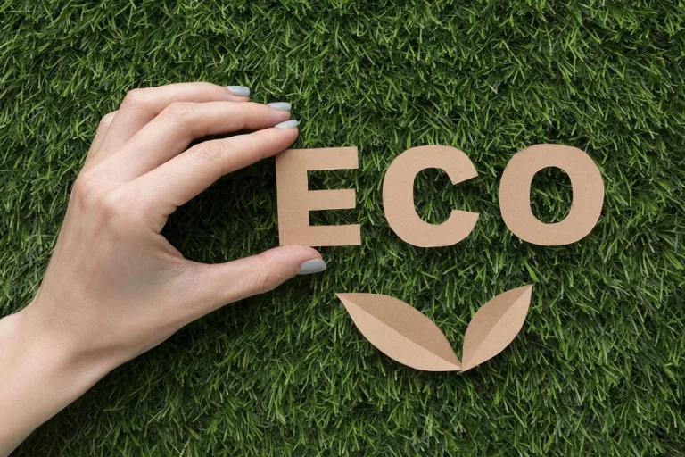 Las compras online ayudan a reducir la huella de carbono 4 Las compras online ayudan a reducir la huella de carbono