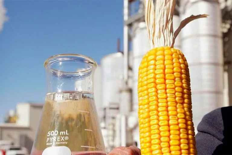 La producción de etanol de maíz se dispara a pesar de los temores de una frágil protección ambiental 2 La producción de etanol de maíz se dispara a pesar de los temores de una frágil protección ambiental
