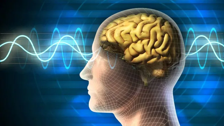 Salud cerebral: por qué el ejercicio es fundamental para lograrla 1 Salud cerebral: por qué el ejercicio es fundamental para lograrla