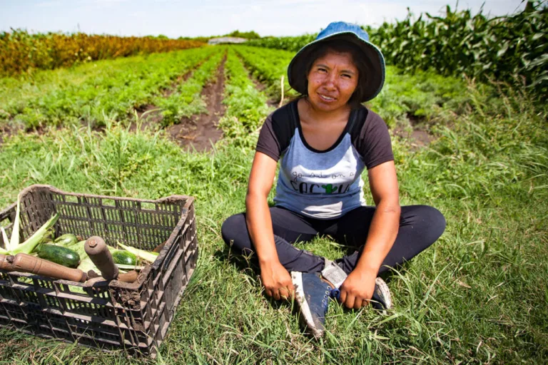 Brechas de género en los sistemas agroalimentarios