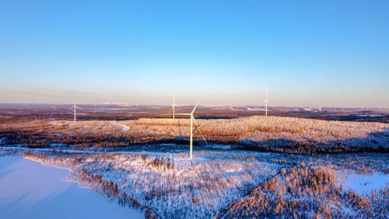 Los parques eólicos pueden dañar los ecosistemas de las turberas de Europa 1 Los parques eólicos pueden dañar los ecosistemas de las turberas de Europa