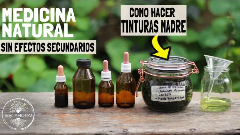 Cómo hacer tinturas madre 2 Cómo hacer tinturas madre