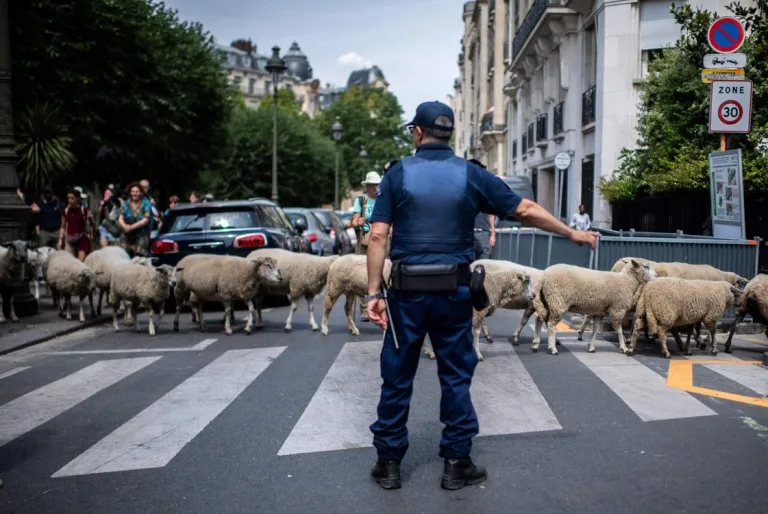 Primera trashumancia urbana en París