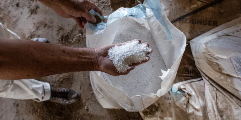 Los fertilizantes, un arma de doble filo para Brasil