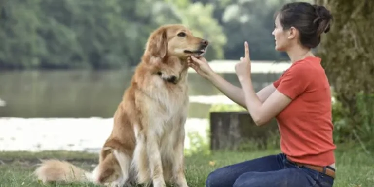 Te has colocado Botox? puede afectar la comunicación con tu mascota 3 Te has colocado Botox? puede afectar la comunicación con tu mascota