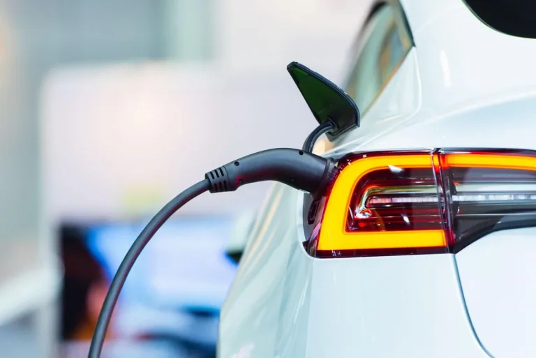 Coche eléctrico: ¿Qué accesorios elegir para equiparlo? 6 Coche eléctrico: ¿Qué accesorios elegir para equiparlo?