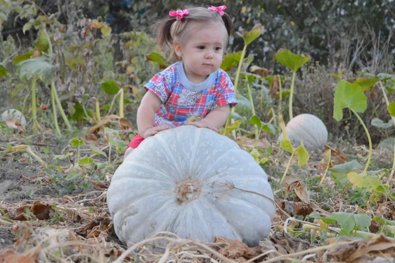 Enseña a los niños a cultivar su propia comida 5 Enseña a los niños a cultivar su propia comida