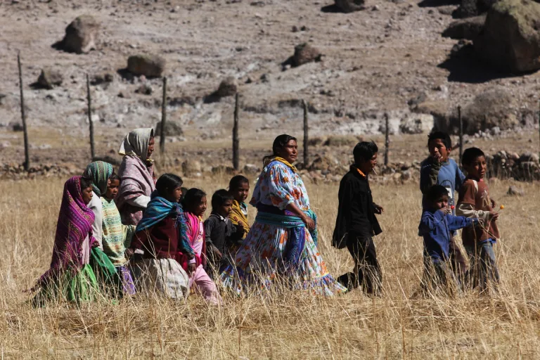 Los costos mortales para las comunidades indígenas de México por luchar contra el cambio climático 4 Los costos mortales para las comunidades indígenas de México por luchar contra el cambio climático