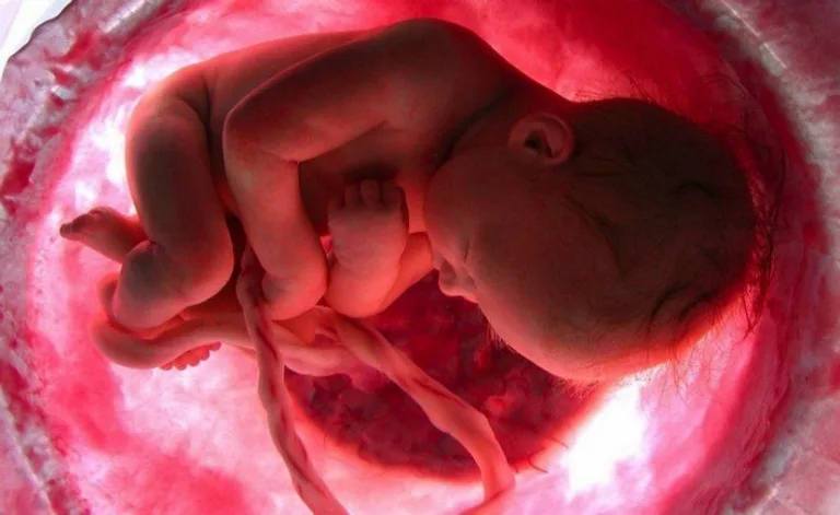 Detectan sustancias tóxicas provenientes de filtros solares en el cordón umbilical