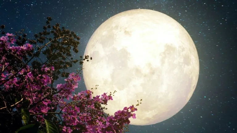 Luna llena de mayo, la Luna de flores 1 Luna llena de mayo, la Luna de flores