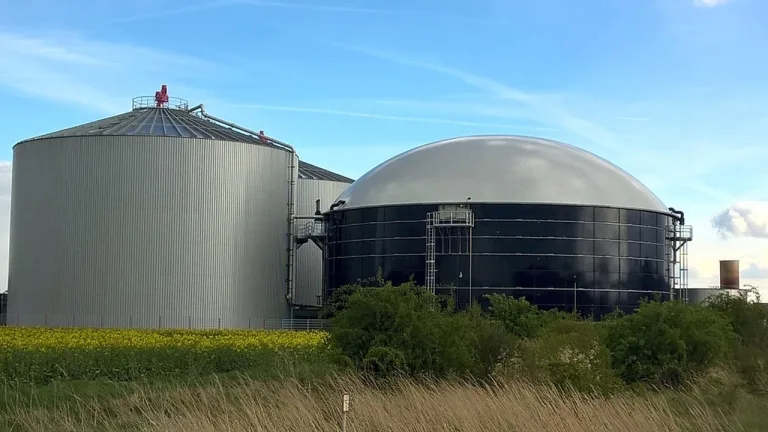 BECCS: ¿"Solución climática crítica" o "peor que el carbón"? 7 BECCS: ¿»Solución climática crítica» o «peor que el carbón»?