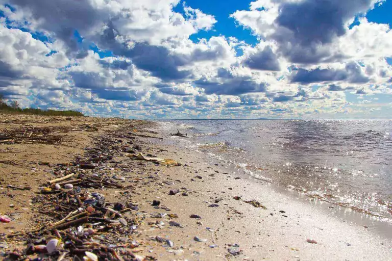 La ‘ basuraleza ’ genera contaminación marina y amanaza a los océanos 2 La ‘ basuraleza ’ genera contaminación marina y amanaza a los océanos