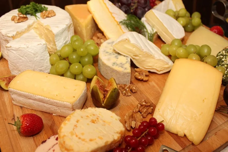 Cheese 2023: Agroecología para un futuro sostenible de los lácteos 7 Cheese 2023: Agroecología para un futuro sostenible de los lácteos