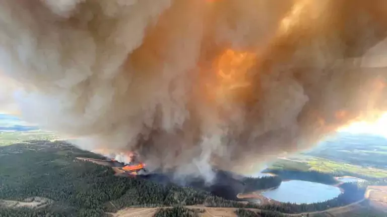 Emisiones récord por incendios en el Hemisferio Norte 3 Emisiones récord por incendios en el Hemisferio Norte