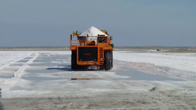 México: Los desafíos de la salinera más grande del mundo 1 México: Los desafíos de la salinera más grande del mundo