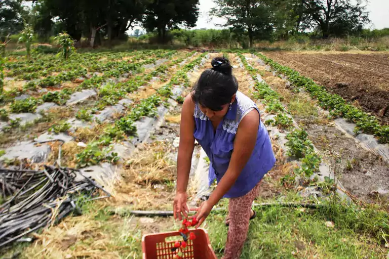 El agronegocio se disfraza de verde y habla de agroecología 1 El agronegocio se disfraza de verde y habla de agroecología